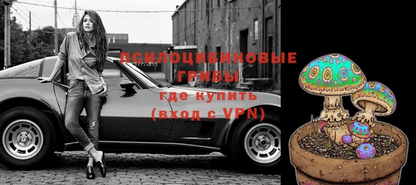 тгк Майский