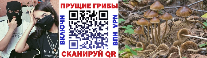 Псилоцибиновые грибы мухоморы  mega вход  Егорьевск 