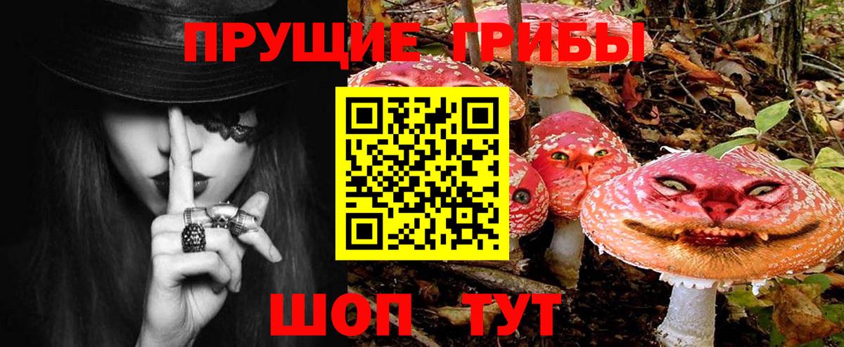 дарнет шоп  Псилоцибиновые грибы Psilocybe  Вход с VPN  Егорьевск 