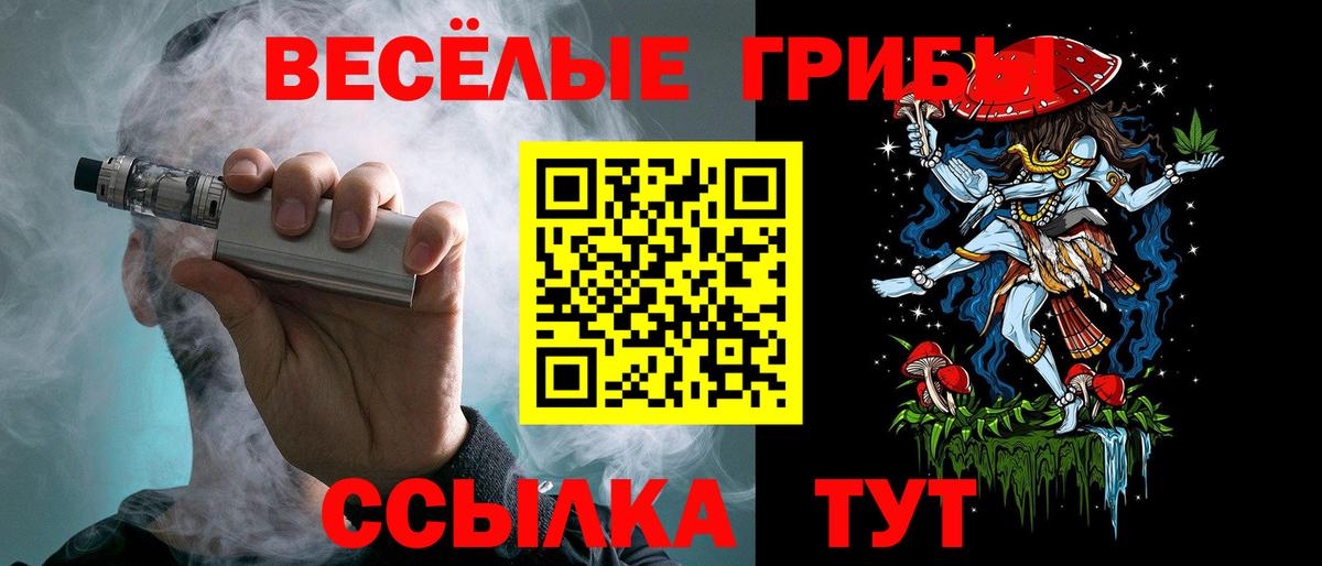 Галлюциногенные грибы мицелий  Галлюциногенные грибы мицелий  Егорьевск 