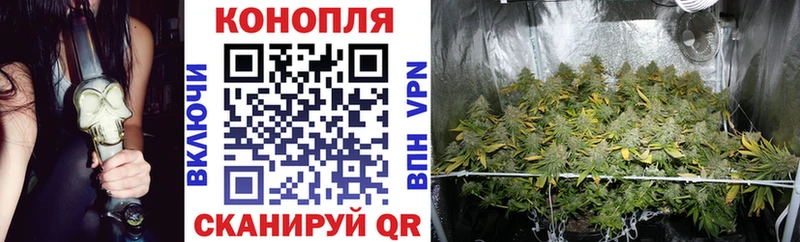 Конопля Ganja  купить  цена  Егорьевск 
